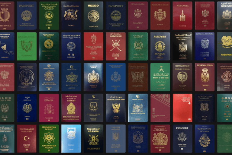 1_1gAALs6p5CRpMzgEdnbmyQ